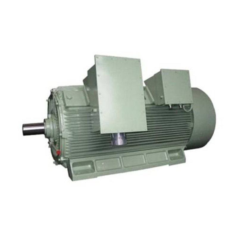 Y2 Series High-Voltage Three Phase Induction Motor (H:355-630mm)