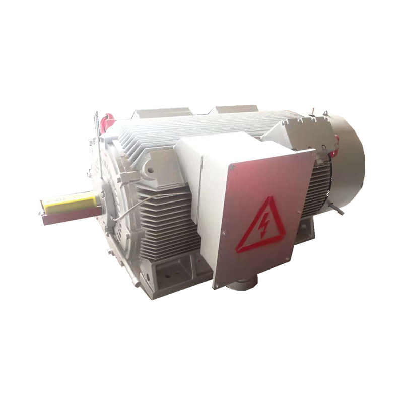 Y2 Series High-Voltage Three Phase Induction Motor (H:355-630mm)