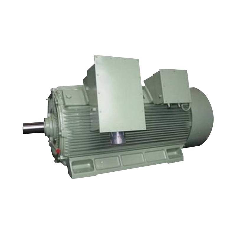 Y2 Series High-Voltage Three Phase Induction Motor (H:355-630mm)