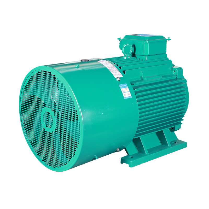 YPT Series Three Phase Induction Motor(H80-355MM)