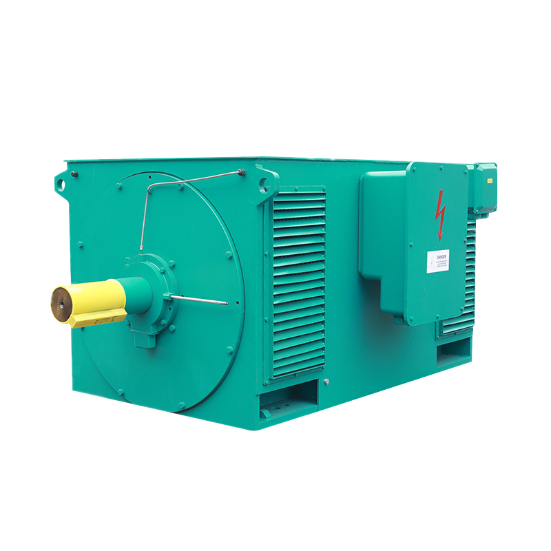 Y Series High-Voltage Three Phase Induction Motor (H:355-1000mm)