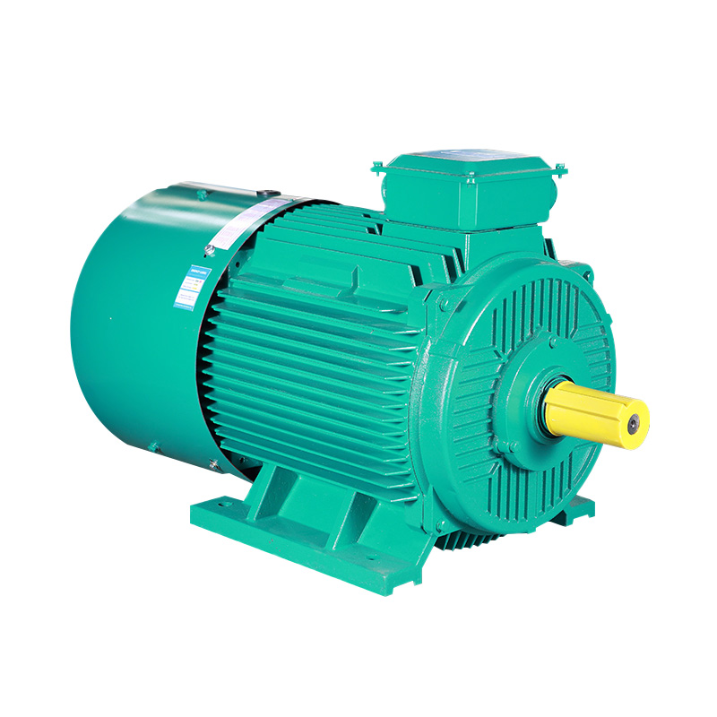 YPT Series Three Phase Induction Motor(H80-355MM)