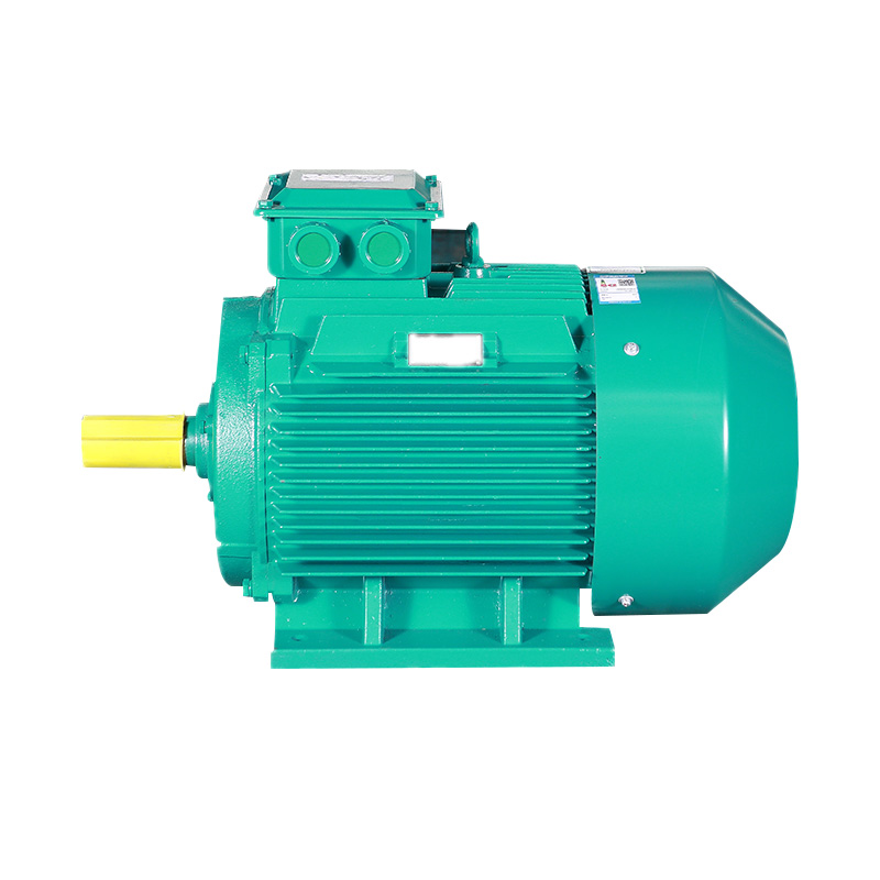 IE3 Series Three Phase Induction Motor(H80-355MM)