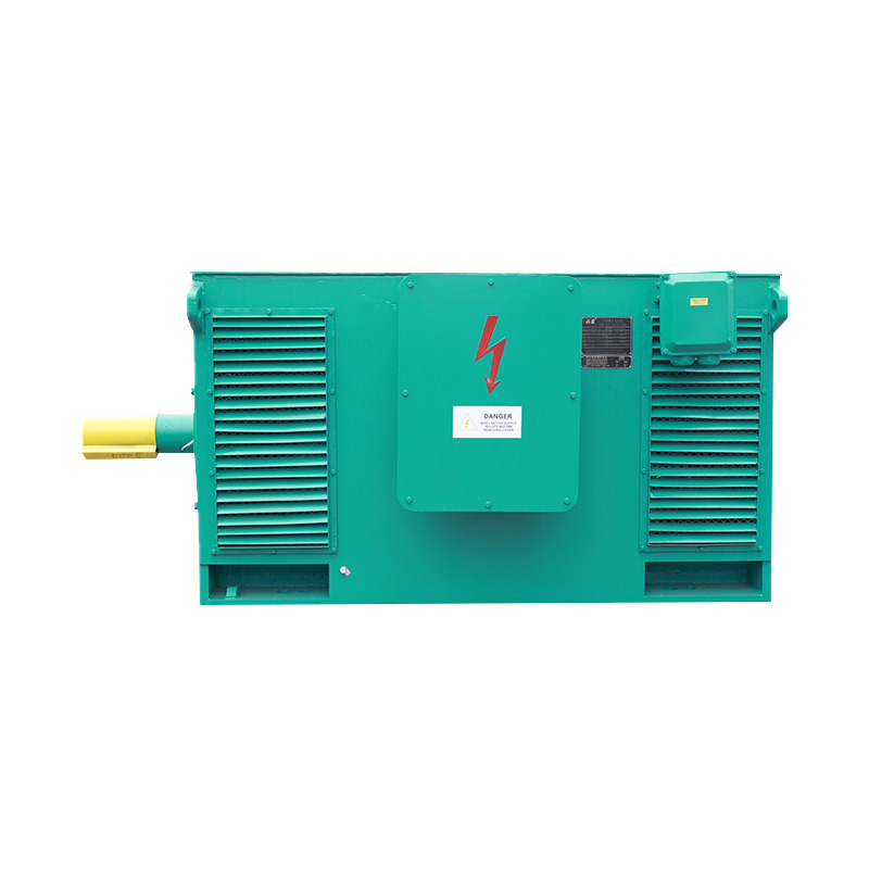 Y Series High-Voltage Three Phase Induction Motor (H:355-1000mm)