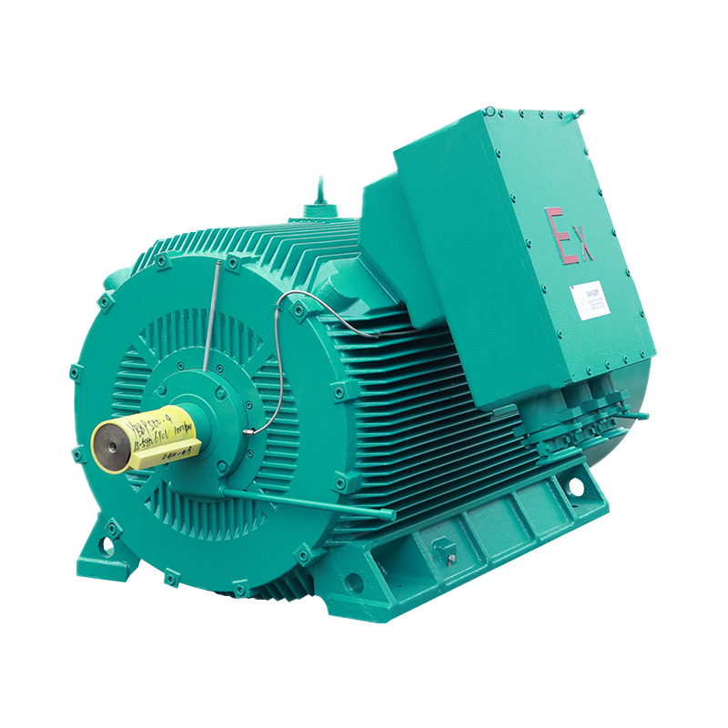 VFD Type Explosion-Proof Motor